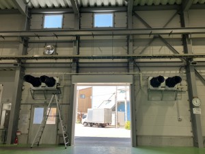 IMG_2573 (1)